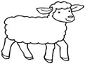 [属羊人怎么样]属羊的人性情如何