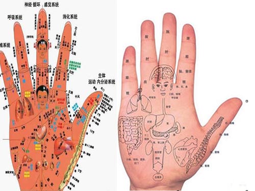 【手相能看出身体状况吗】如何从手相看出生命长度    这些手相揭示寿命