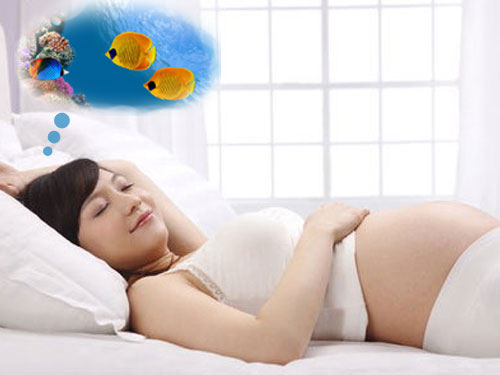 孕妇梦见公鸡是胎梦吗|孕妇胎梦梦见鱼的多种含义