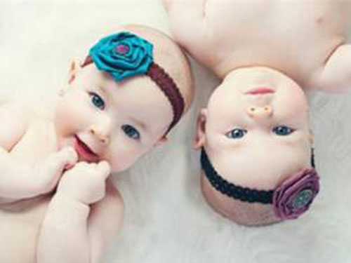 猪年双胞胎宝宝起名大全|2015双胞胎女孩起名大全