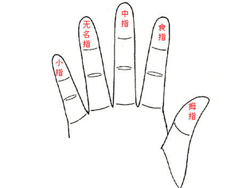 【怎么分五个手指的名字】从五个手指分析你是否工于心计