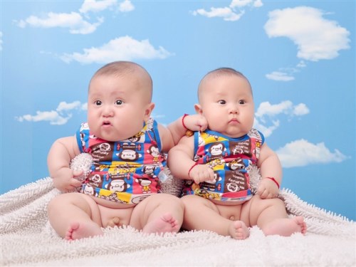 【猪年双胞胎宝宝起名大全】好听的双胞胎宝宝起名方法大全
